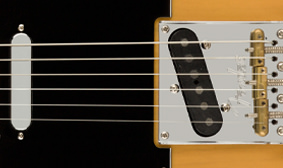 Fender American Prof 2 | Tele | Maple / Butterscotch Blonde | Lefty