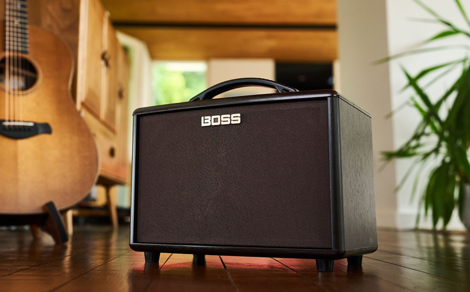 Boss AC-22LX Acoustic amp | looper | vocal input