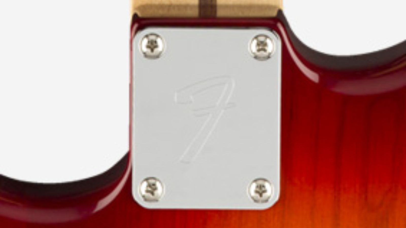 Fender Player Stratocaster HSS Plus | Flame Maple Top