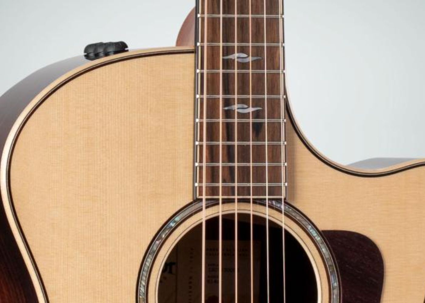 Taylor 314ce| Grand Auditorium | 50th Anniversary | Pick-Up