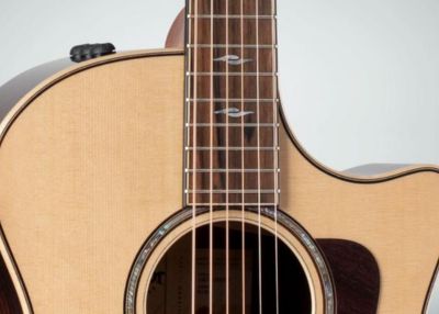 Taylor 50th Anniversary 414ce Special Edition