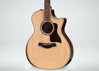 Taylor 214ce Acoustic-Electric Guitar | Layered Walnut Back/Sides