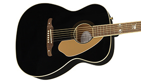 Fender Tim Armstrong Hellcat Anniversary | Black