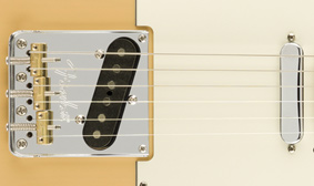 Fender LTD Edition Lightweight Ash American Pro Tele | Blonde / Maple