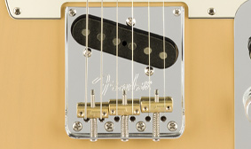 Fender LTD Edition Lightweight Ash American Pro Tele | Blonde / Maple