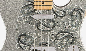 Fender Brad Paisley Road Worn Telecaster | Grey Paisley