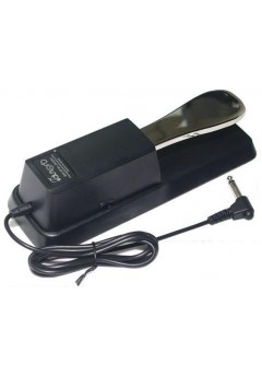 A SUSTAIN PEDAL