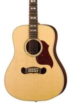 Acoustic 12 String Guitars