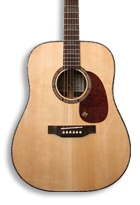 Guitar Acoustic