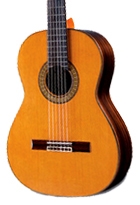 Nylon String | Classical Guitars