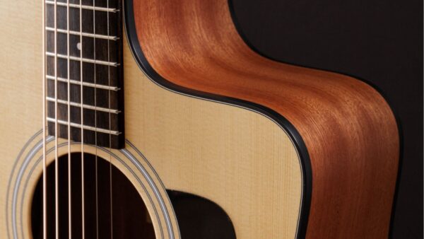 Taylor 110CE-S | Sapele Special | Layered Sapele Back & Sides