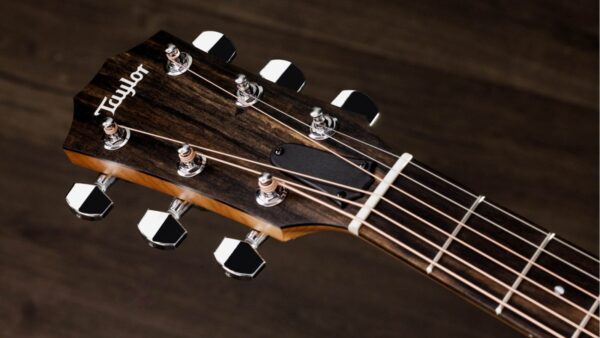 Taylor 110CE-S | Sapele Special | Layered Sapele Back & Sides