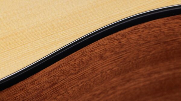 Taylor 110CE-S | Sapele Special | Layered Sapele Back & Sides