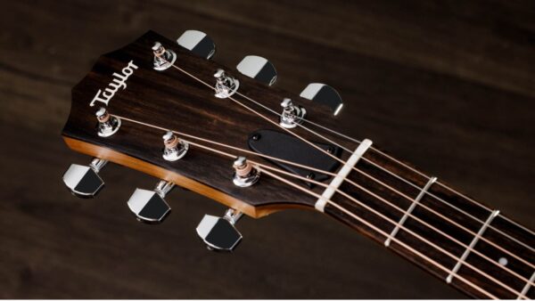 Taylor 114CE-S | Sapele Special | Layered Sapele Back & Sides