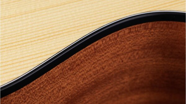 Taylor 114CE-S | Sapele Special | Layered Sapele Back & Sides