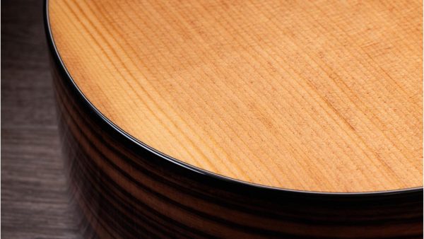 Taylor 214CE Plus | Electro-coustic Guitar