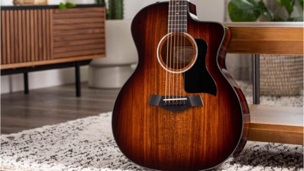 Taylor 224CE Deluxe | Grand Auditorium Guitar | ES2 Pickup | Koa