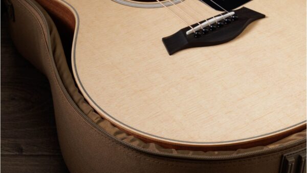 Taylor GS Mini Guitar | Sapele Special | Layered  back & Sides