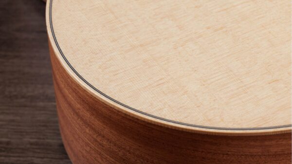 Taylor GS Mini Guitar | Sapele Special | Layered  back & Sides