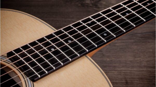 Taylor GS Mini Guitar | Sapele Special | Layered  back & Sides