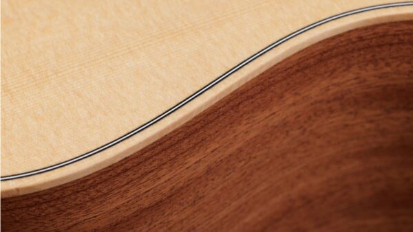 Taylor GS Mini Guitar | Sapele Special | Layered  back & Sides