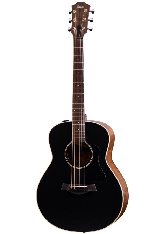 Taylor GTE Blacktop with Pickup