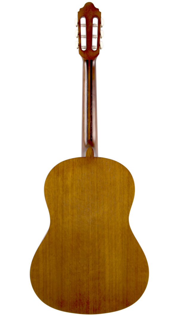 Valencia VC204H | Hybrid Nylon String Guitar | Full Size | Ant Natural