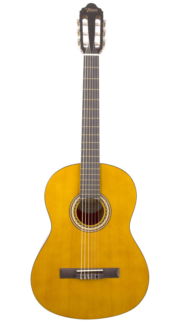 Valencia VC204H | Hybrid Nylon String Guitar | Full Size | Ant Natural