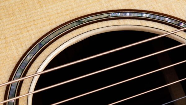 Taylor 814CE | Grand Auditorium Acoustic Electric Guitar | ES2 Pickup