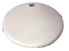 Remo BJ1100-H1 11" Banjo Head | Coated