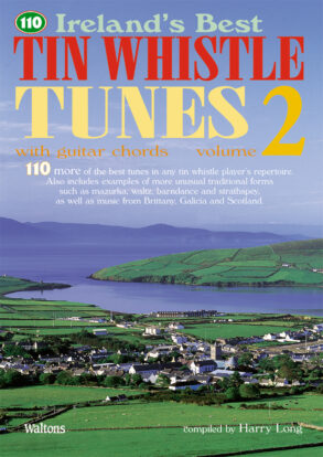 110 Best Tin Whistle Tunes | Volume 2  (Melody & Chords)