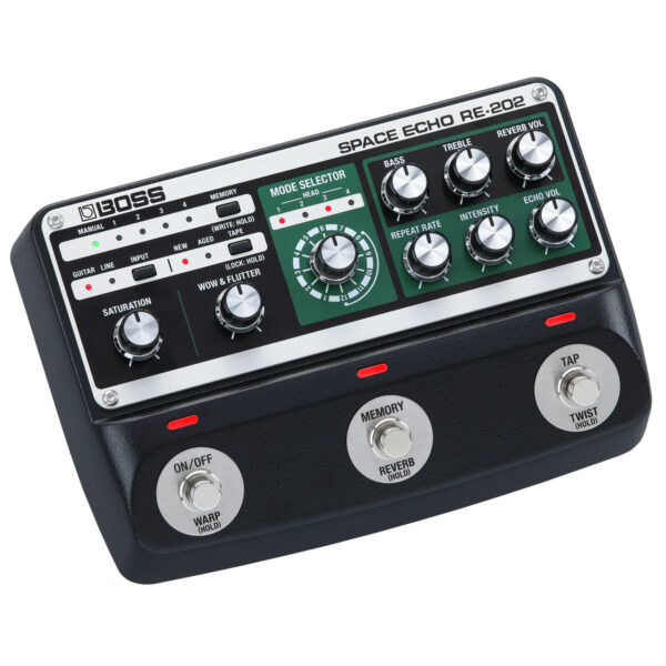 Roland RE202 Space Echo