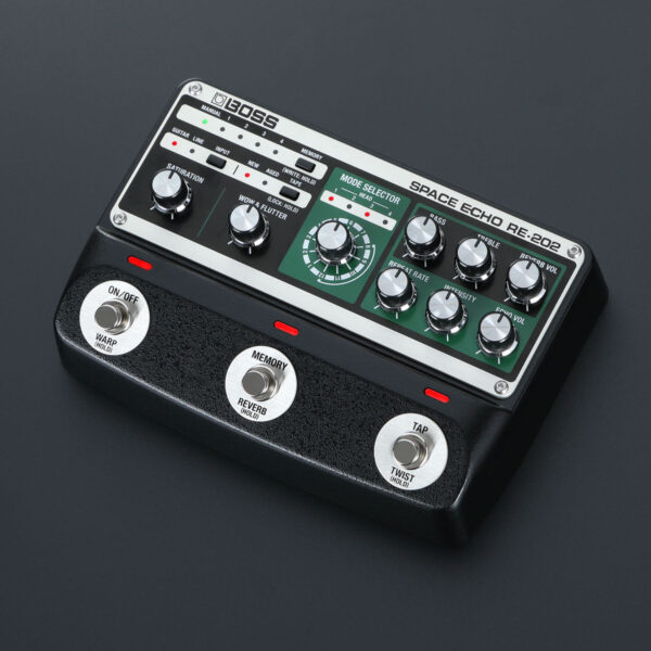 Roland RE202 Space Echo