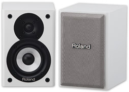 Roland CM-110 100-Watt Monitors (Pair)