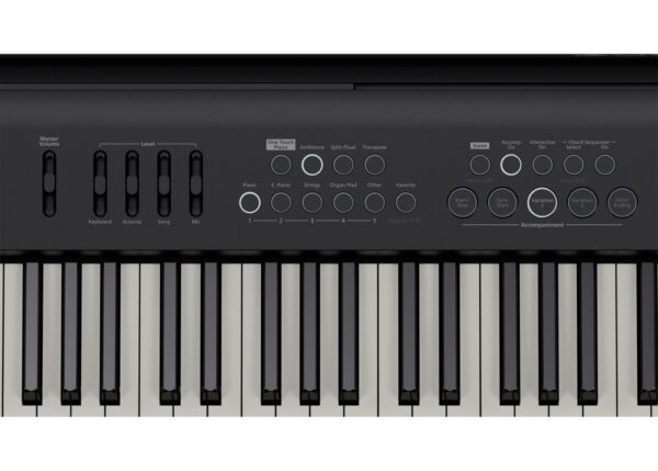 Roland FP-E50 | Modern Portable Piano | Powerful Entertainment Features