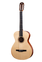 Acoustic Guitar