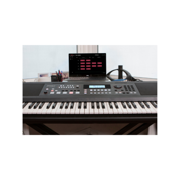 Roland E-X50 Arranger Keyboard | 61 Keys