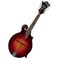 Mandolin/Mandola