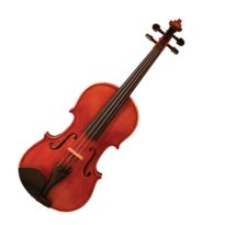 Violin