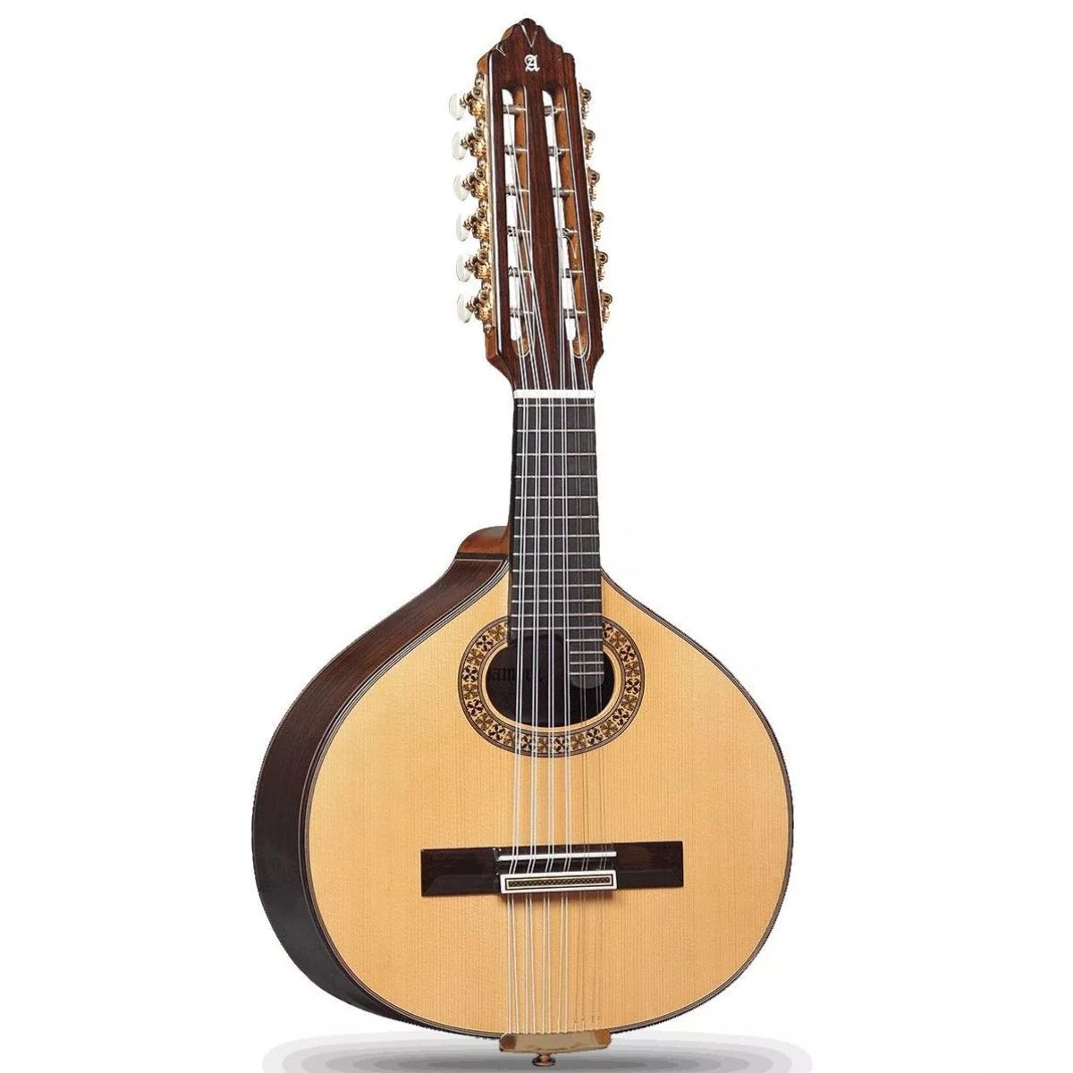 World Stringed Instruments