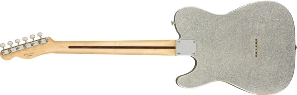 Fender Brad Paisley Road Worn Telecaster | Grey Paisley