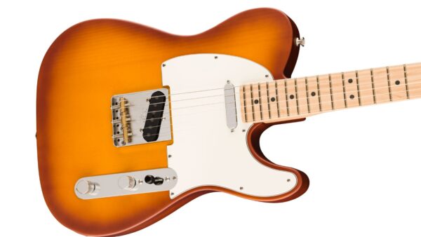 American Performer Telecaster | Maple FB | Honey Burst