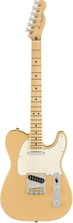 Fender LTD Edition Lightweight Ash American Pro Tele | Blonde / Maple