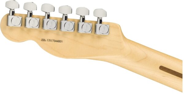 Fender LTD Edition Lightweight Ash American Pro Tele | Blonde / Maple