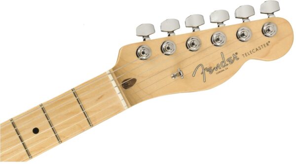 Fender LTD Edition Lightweight Ash American Pro Tele | Blonde / Maple