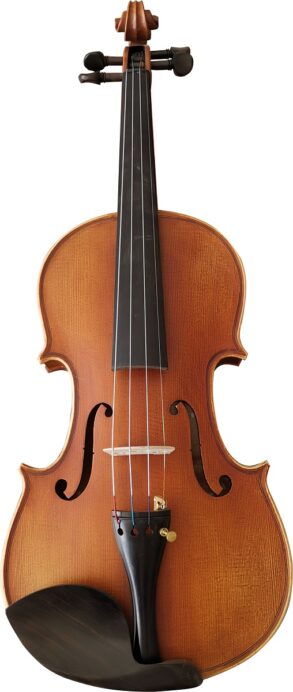 Martini 4/4  Standard Quality Maple Violin Outfit