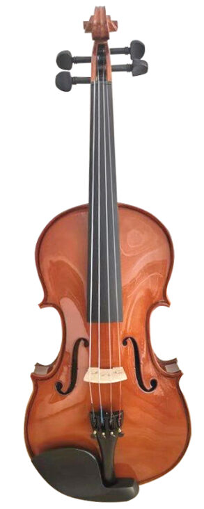 Martini 4/4 Student Violin Outfit