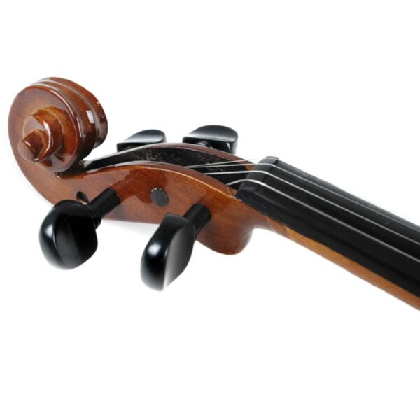 Valencia 400 Violin Outfit |Spruce top | Ebony Fittings | Size 1/16