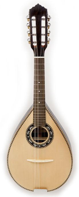 APC 154C Mandolin | Rosewood with Mother-of-Pearl Inlay