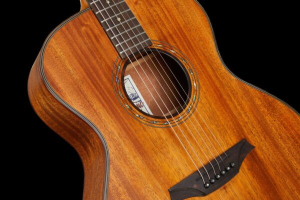 Bromo BAT2M Tahoma | Grand Auditorium Acoustic | All Mahogany